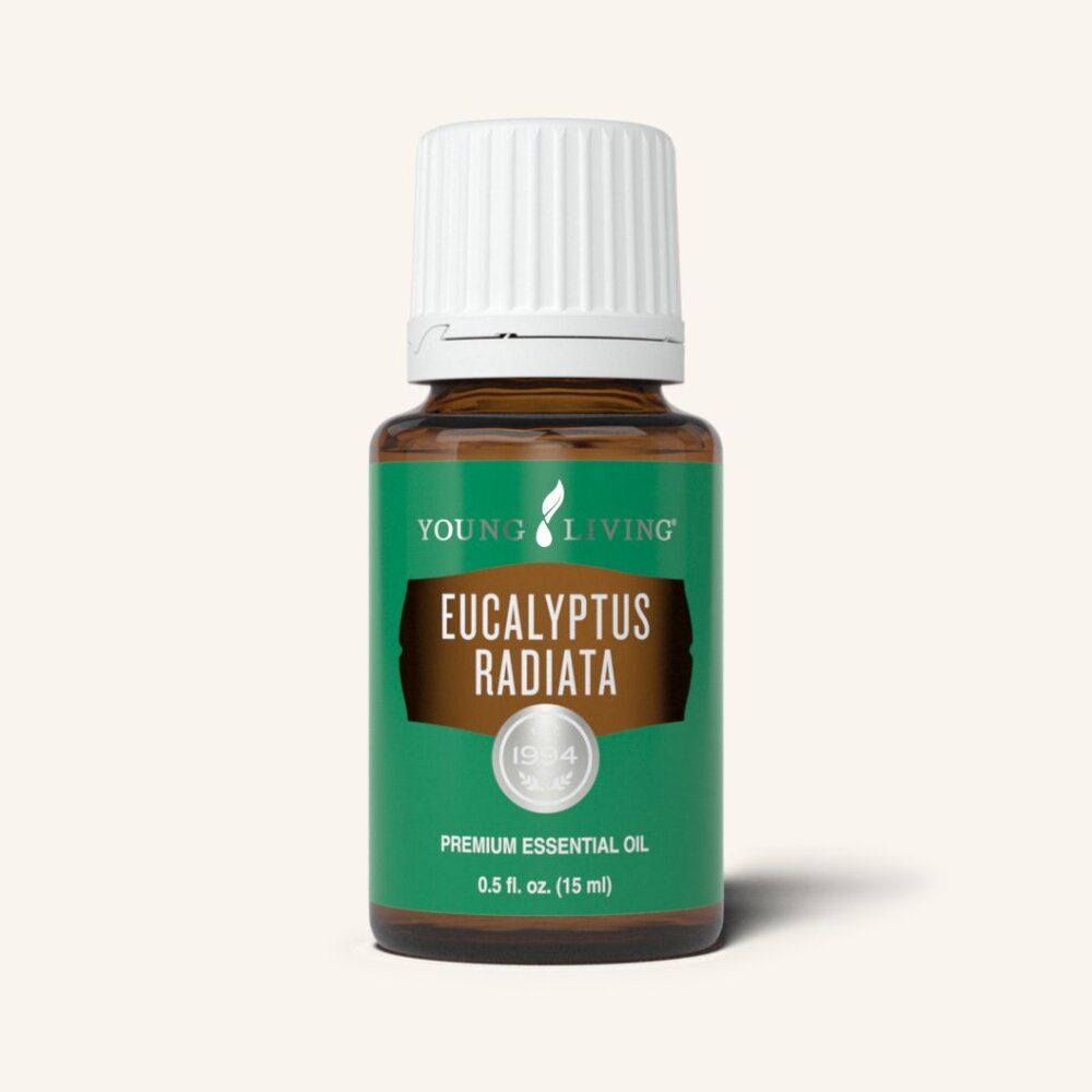 NEW Young Living 15 ml Eucalyptus Radiata Essential Oil